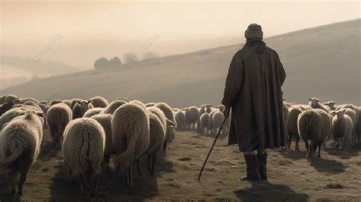 'Between the Rains' Review: An Immersive and Moving Portrait of a Shepherd and His Community in Kenya