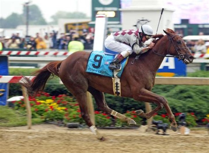 CNN.com - Owners say Funny Cide loves to run