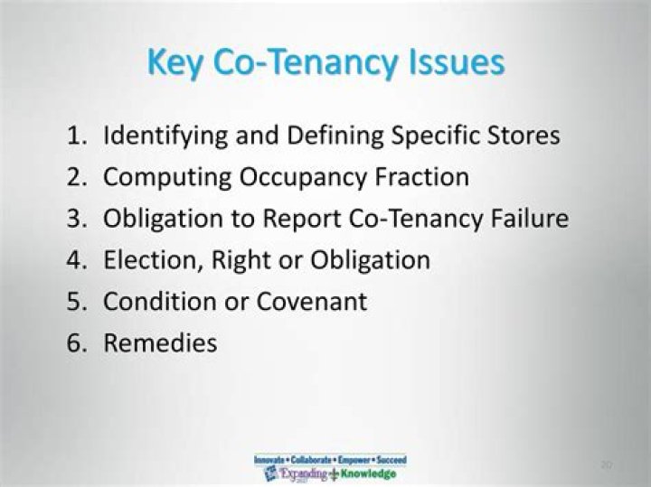 Co-Tenancy Clause Definition