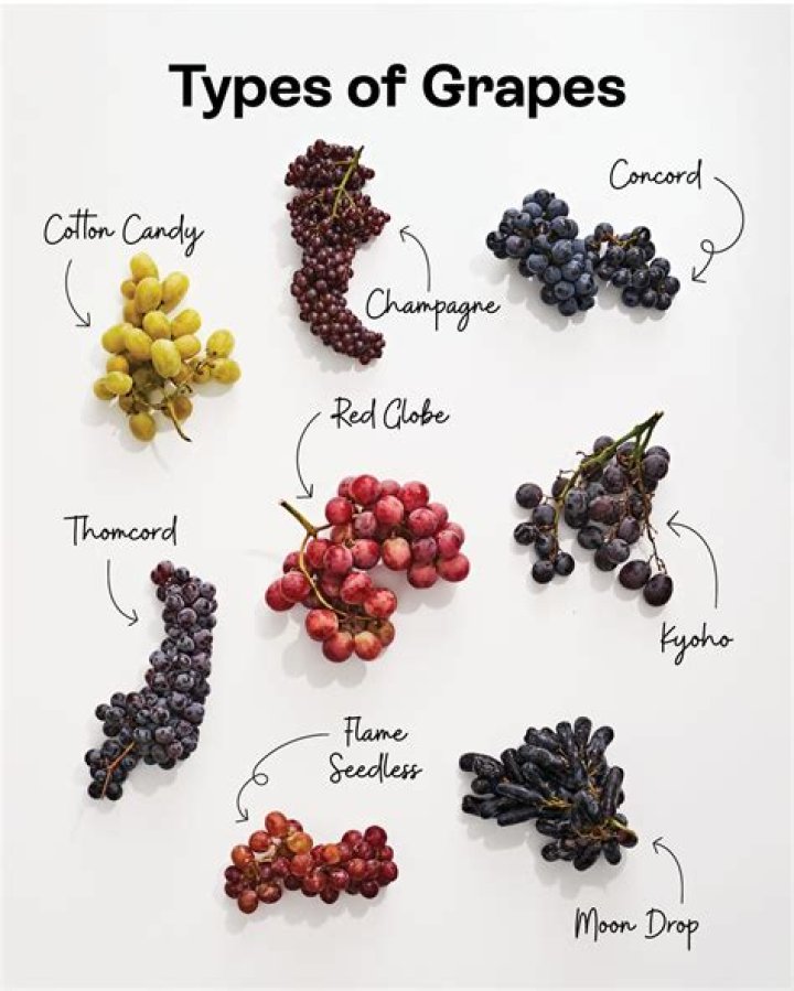 Difference Between Black And Red Grapes