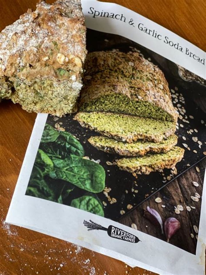 Freyja Hanstein Died: Creator of Wholesome World, Health App Passes Away