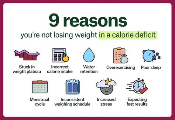 Having Trouble Losing Weight? The Solution Could Be in Your Gut