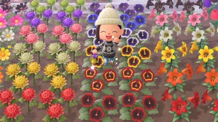 Hybrid Flowers in Animal Crossing New Horizons