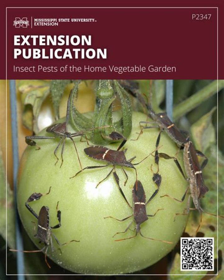 Insect Pests of the Home Vegetable Garden