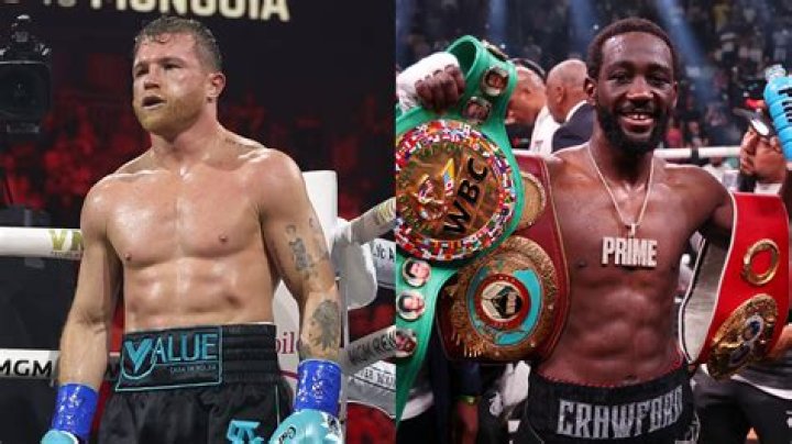 Jake Paul vs Canelo Alvarez: Floyd Mayweather predicts the winner of the battle “He’ll get demolished”