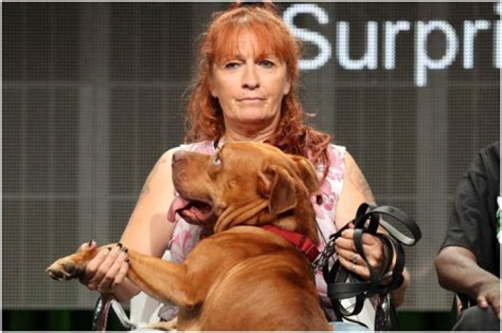Judy Torres Net Worth  - Pulptastic
