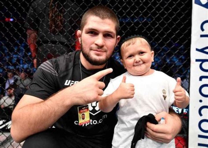 Khabib Nurmagomedov Career Earnings (purse, payouts) + Net Worth