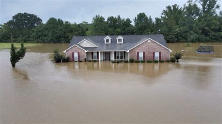 Mississippi ponds endure icy weather