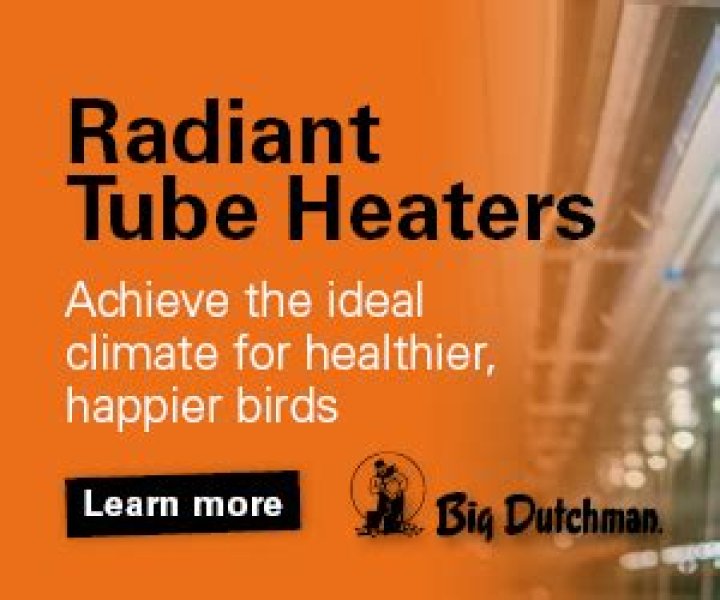 Modern Broiler House Heating Systems