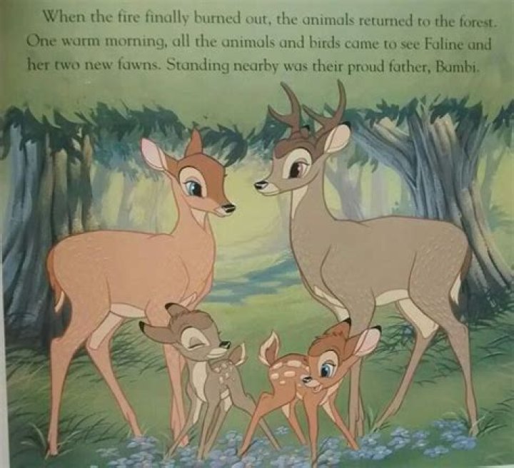 Mother does almost never abandon their fawns