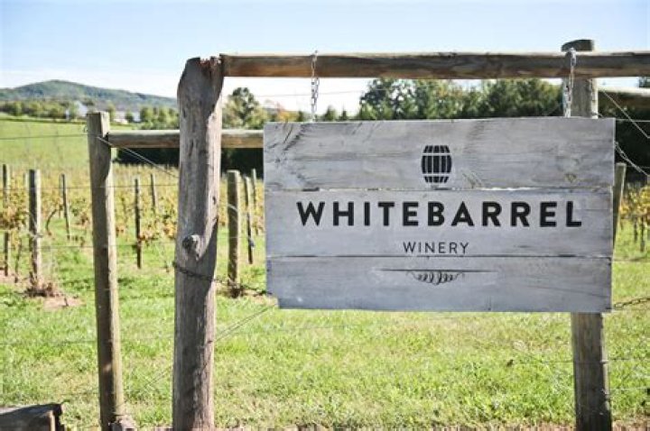 🎨 On Wheels @ Whitebarrel Winery