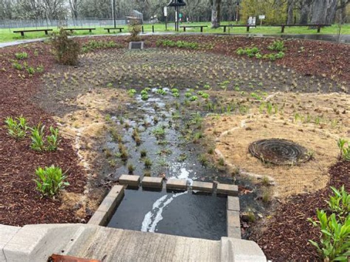Sandy Springs to unveil Rain Garden Park