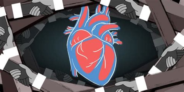 SCAI 2023 Scientific Sessions: Harmonizing Tools and Approaches