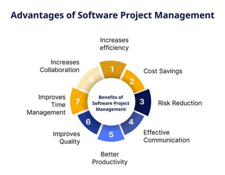 Software Project Management Phases & Best Practices