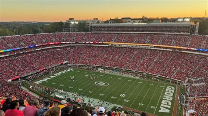 South Carolina Gamecocks rip up UGA hedges at Sanford Stadium