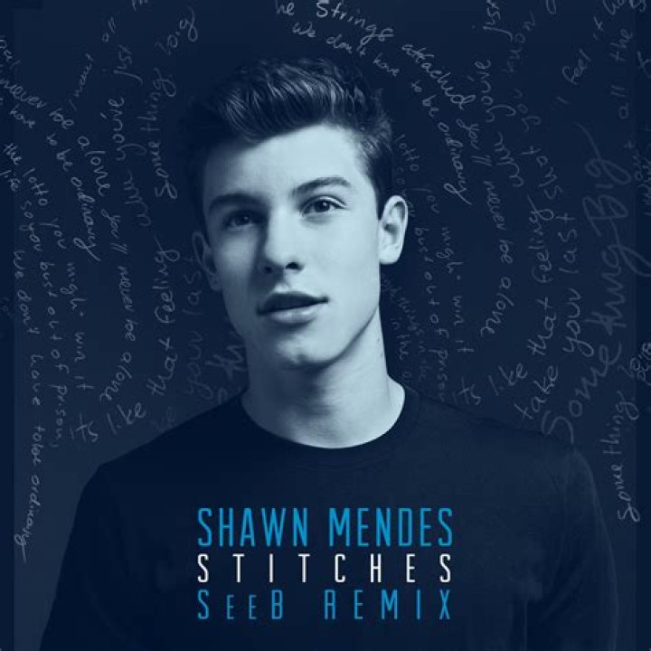 “Stitches” by Shawn Mendes