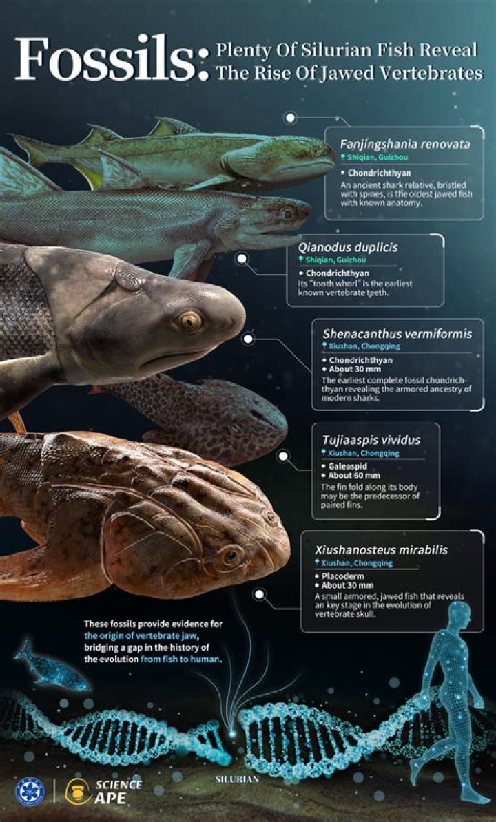 This Chart Reveals That Humans Have A Mating Season