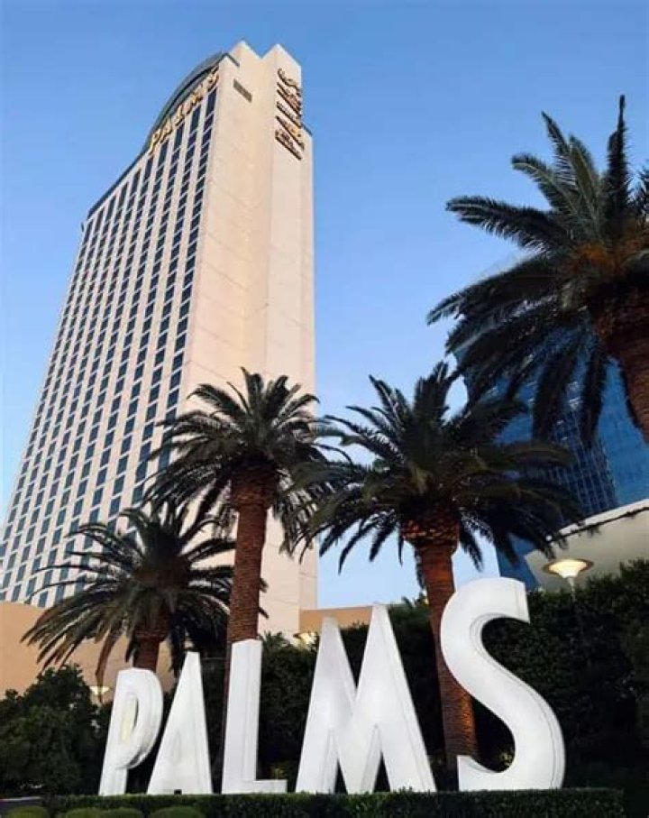 Who Owns The Palms Hotel: A Comprehensive Guide